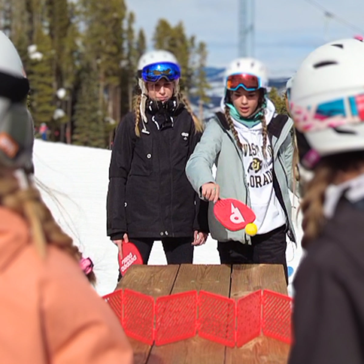 The Ski Resort